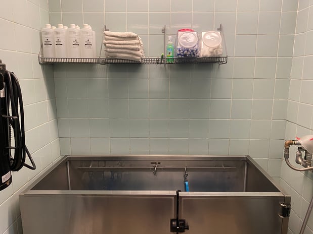 Images Petco Grooming