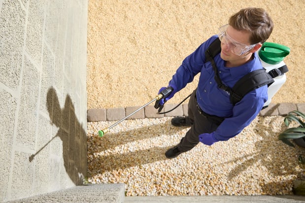 Images Las Vegas Pest Control