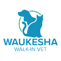 Waukesha Walk-in Vet Clinic