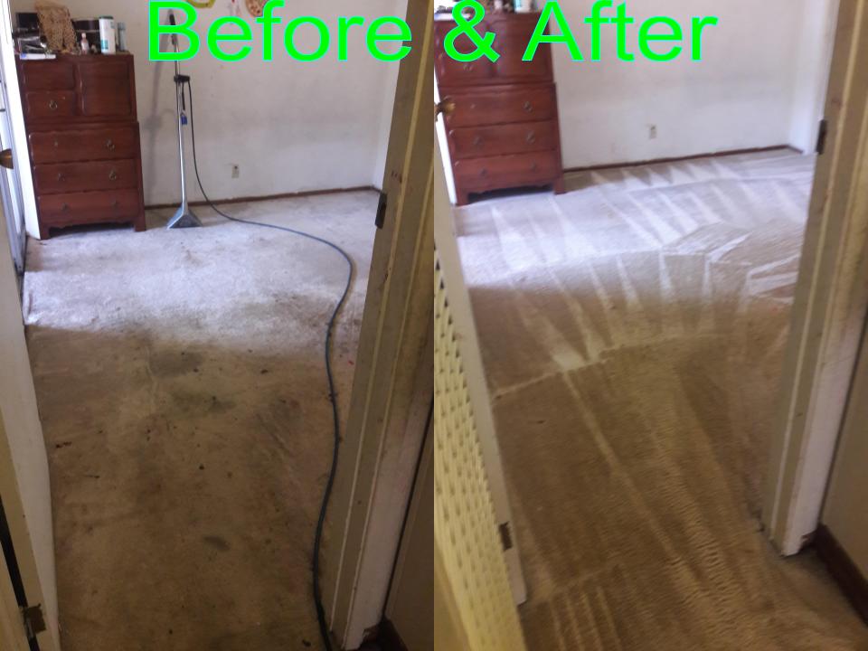 Able Body Carpet & Restoration Photo