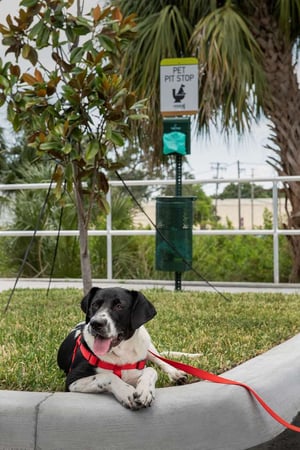 Images Home2 Suites by Hilton Tampa Westshore Airport
