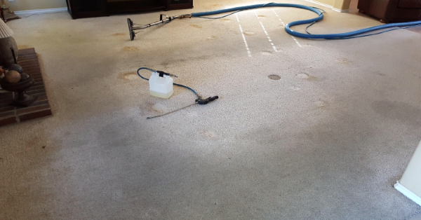 Images B.E. Clean Carpet & Tile