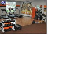 Images Tiger Coaching & Personal Training