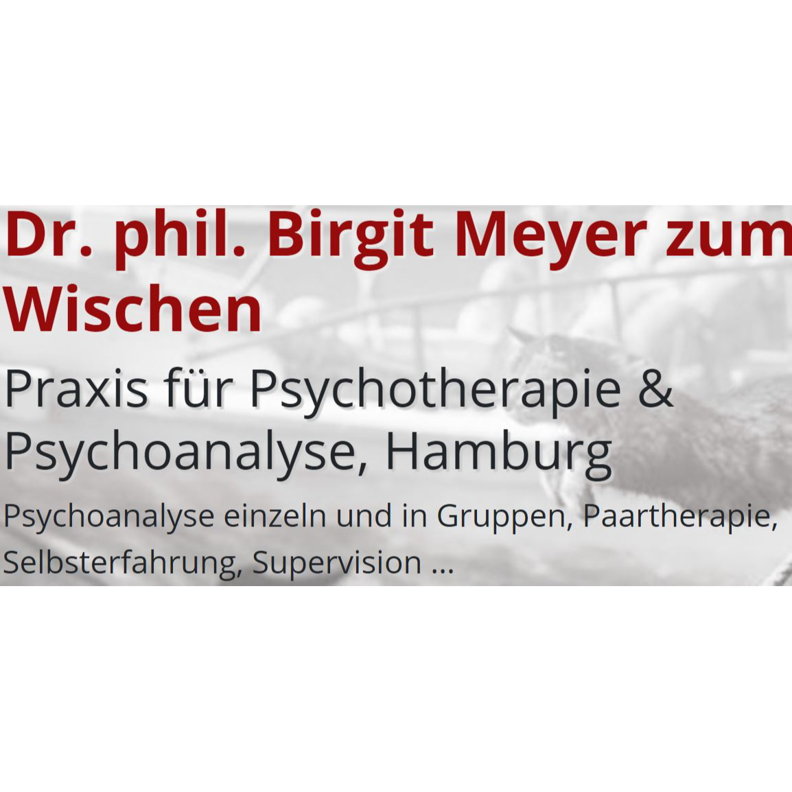Logo Birgit Meyer zum Wischen Praxis für Psychotherapie & Psychoanalyse
