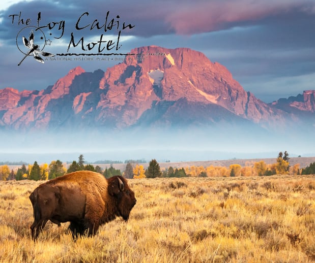 Images Log Cabin Motel
