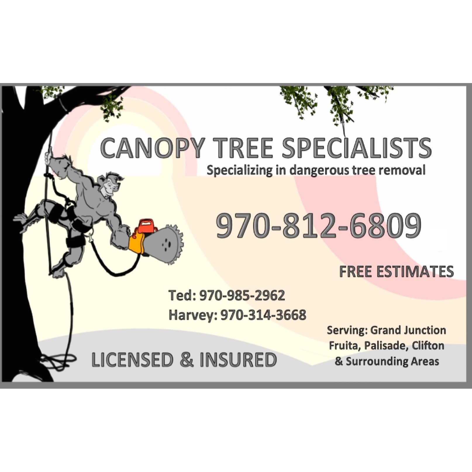 Canopy Tree Specialists