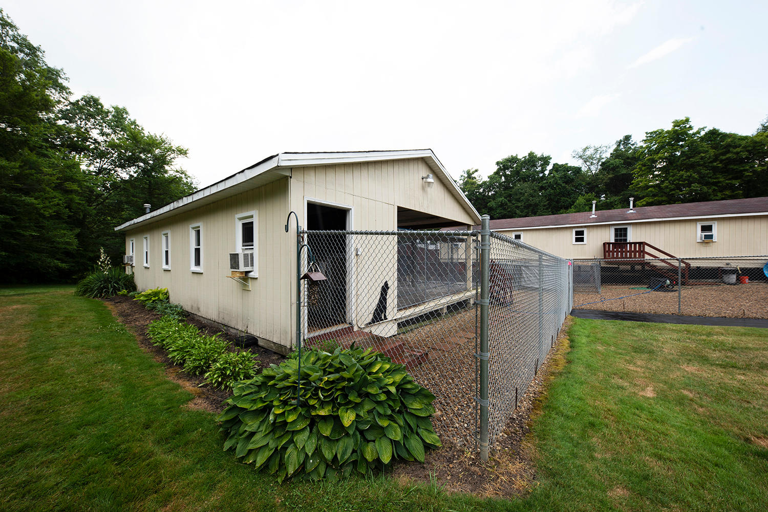 Dog Gone Crazy Kennels Photo