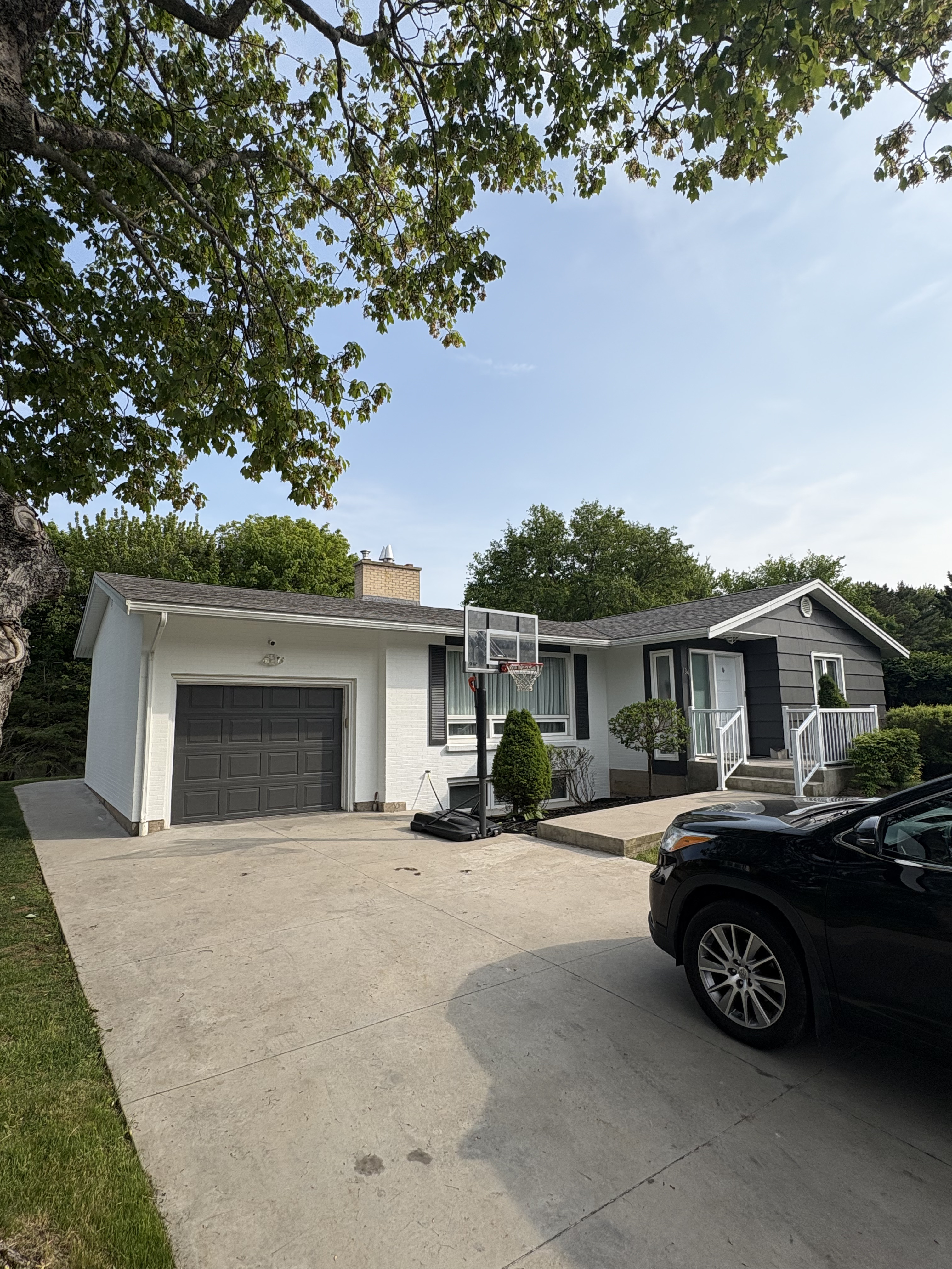 Images RenoNova Painting