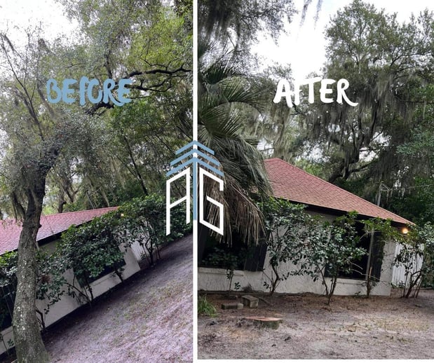 Images Against The Grain Tree Care