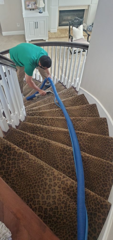 Tech performing carpet cleaning Orange County, CA