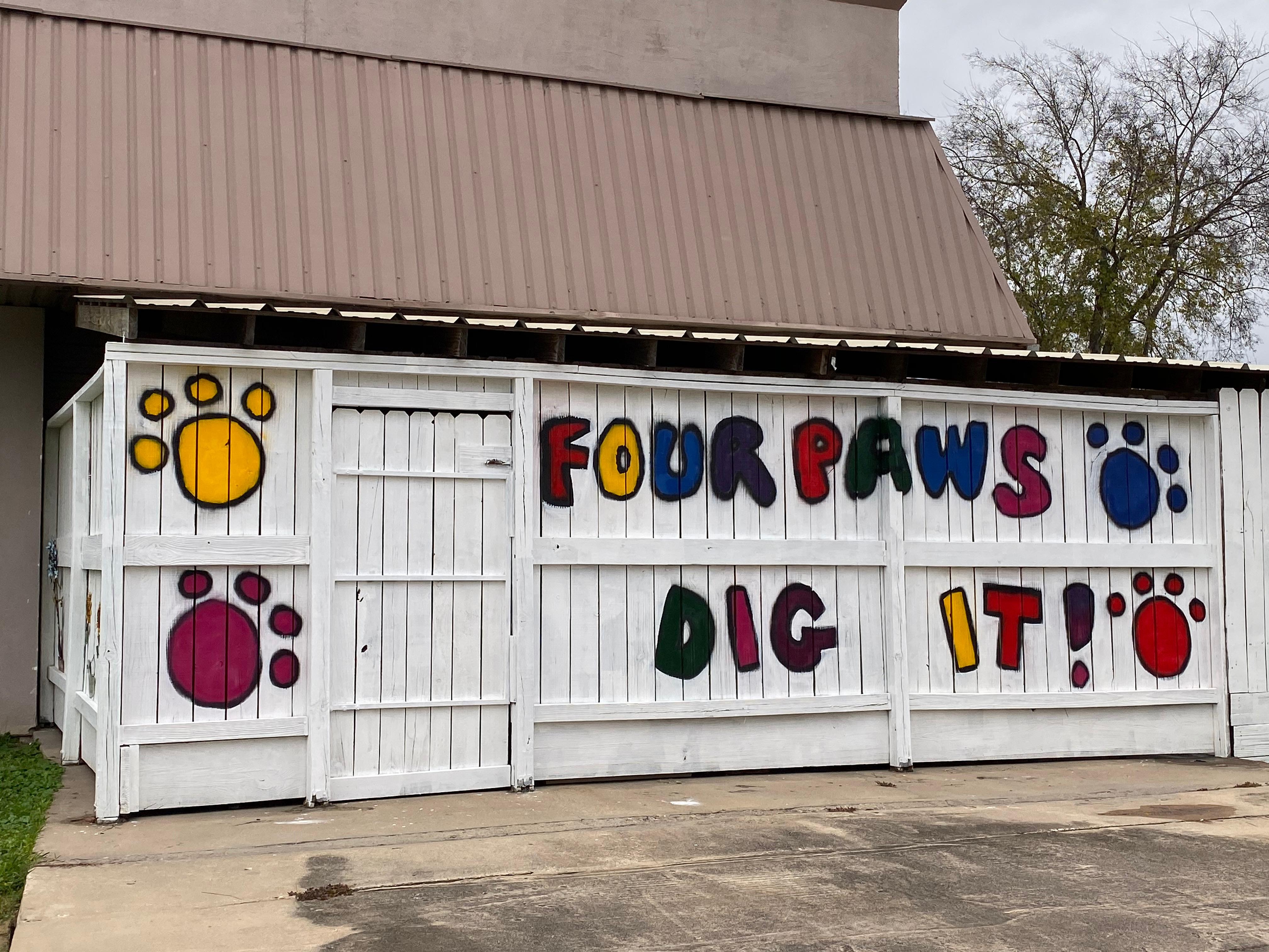 Four Paws Dig It Photo
