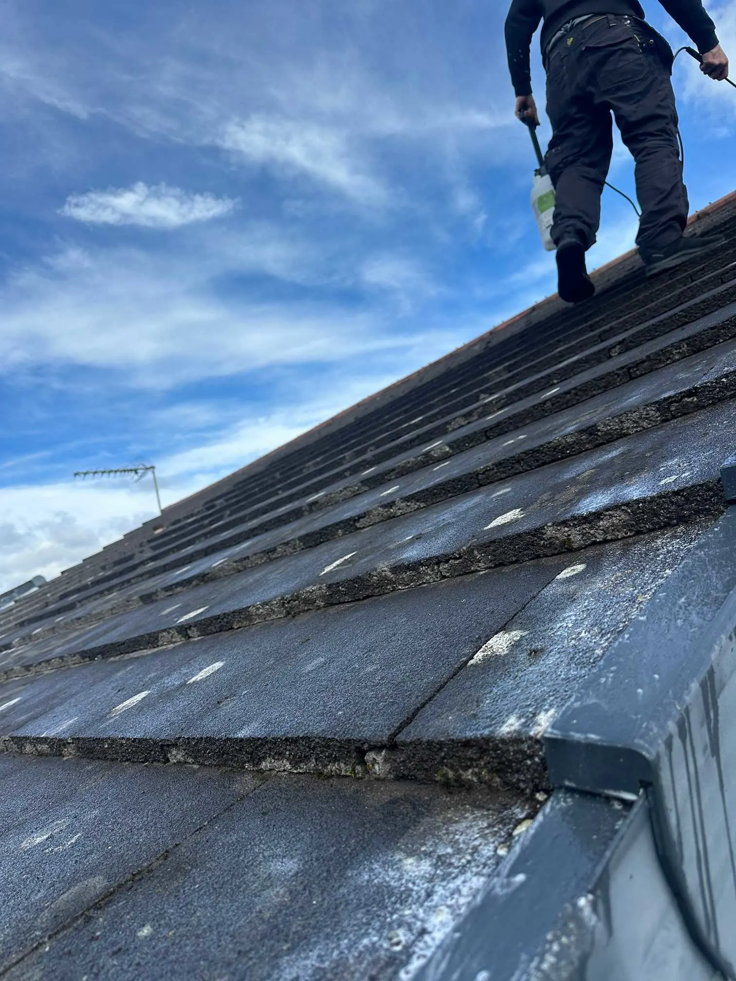 Images DB Roofing and Maintenance