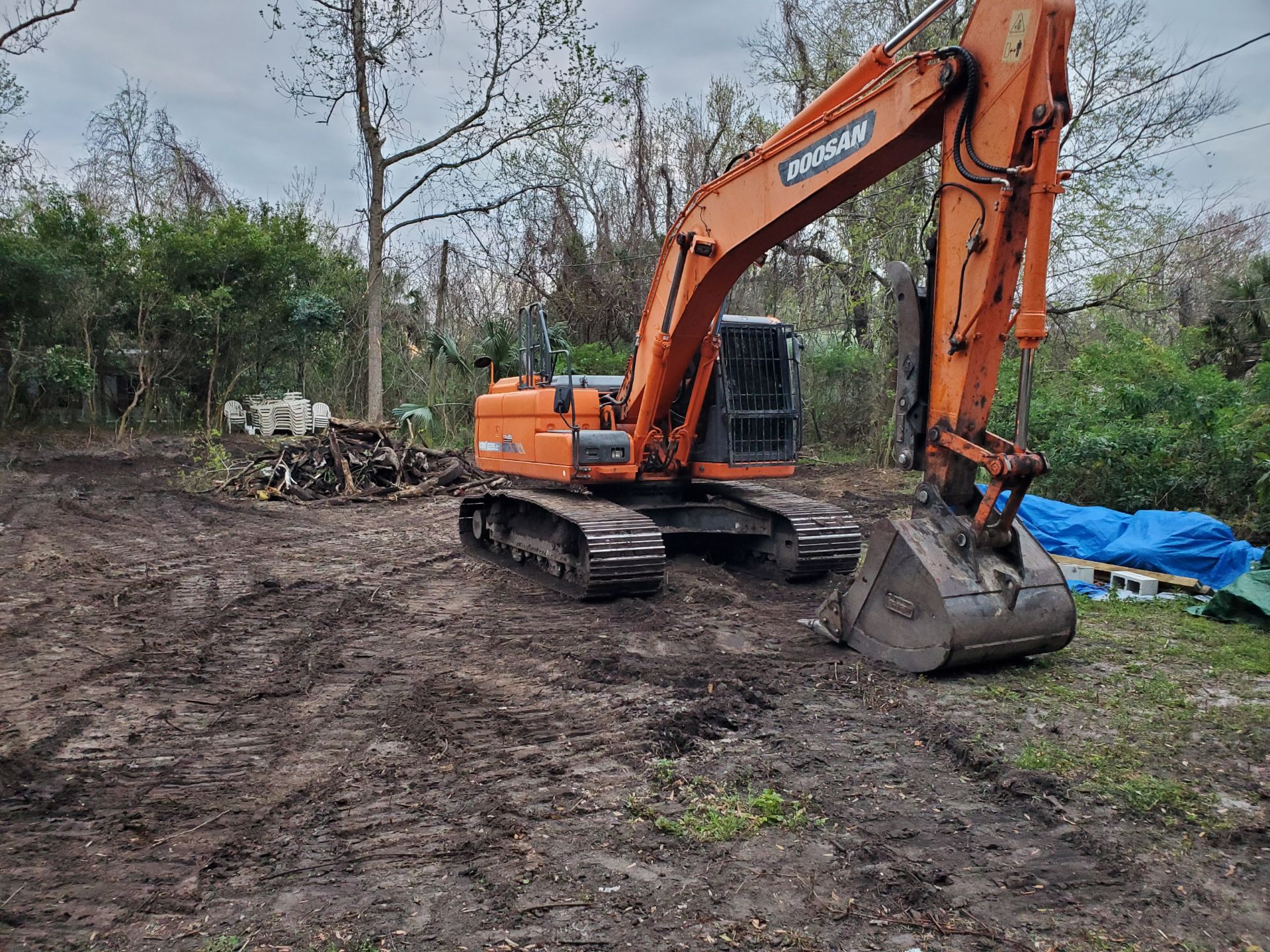 Big Cat Excavating Photo