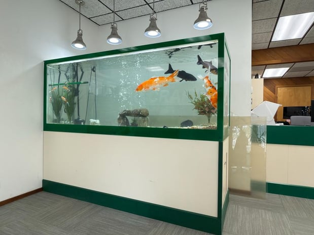 Images Plastic-Craft Products Corp
