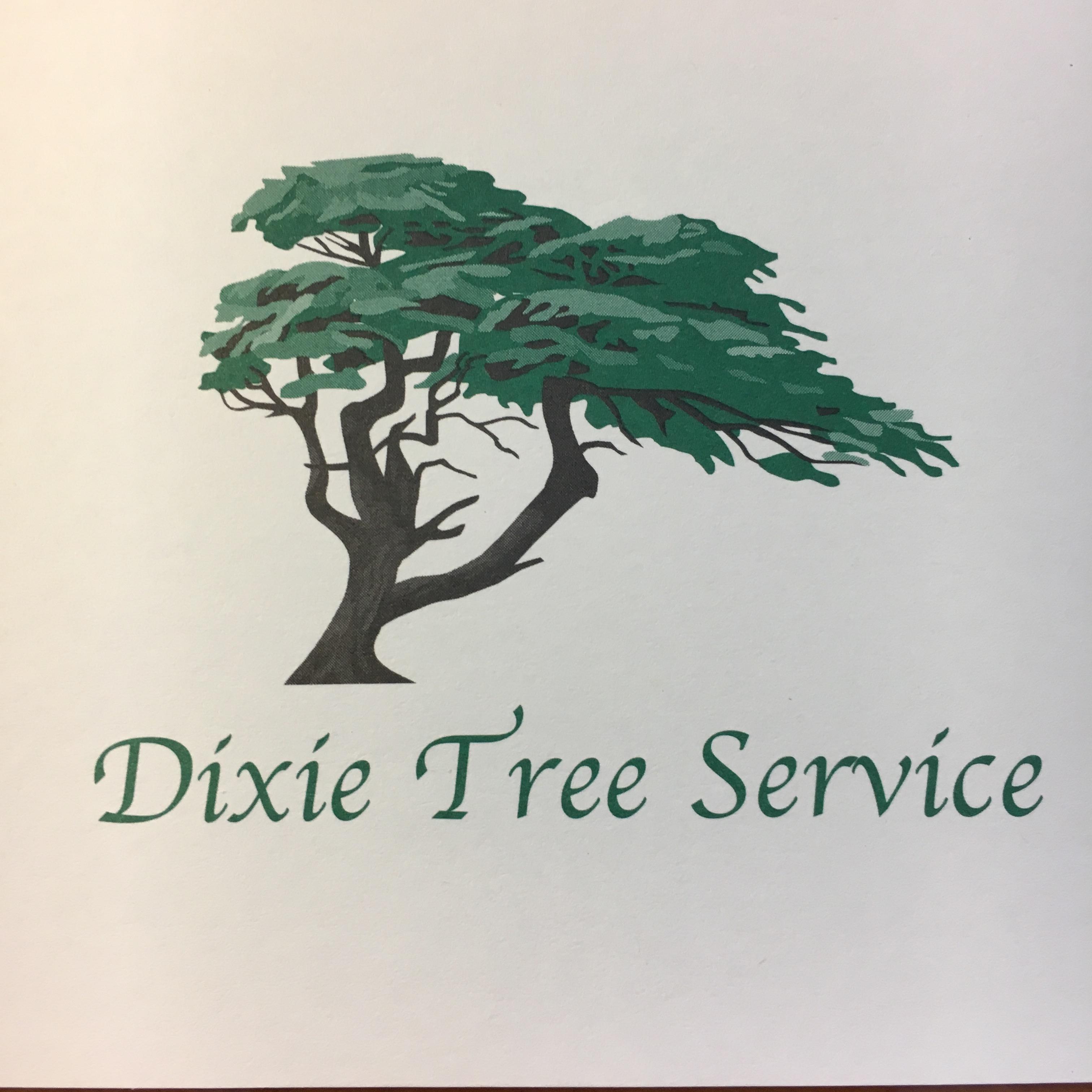 Dixie Tree Service