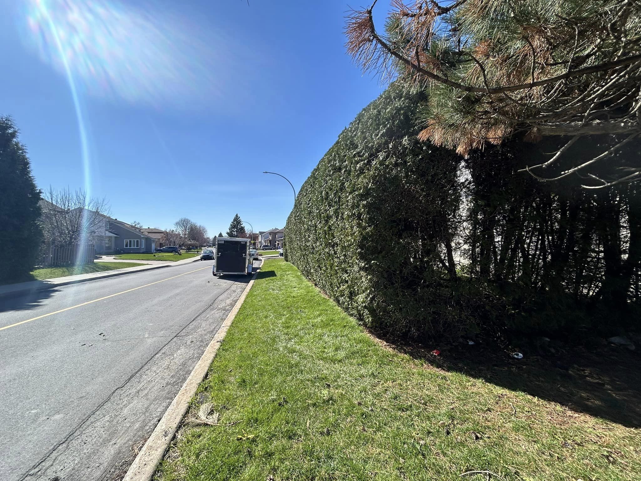 Images Taille de haie EB - Entretien de haie Saint-Hyacinthe