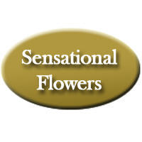 Sensational Flowers