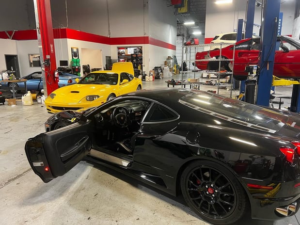 Images Loudoun County Exotics