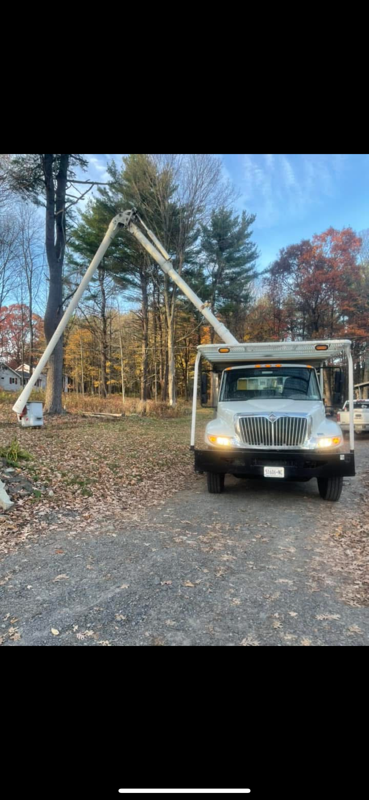 Images Spence’s Tree Care N Landscaping