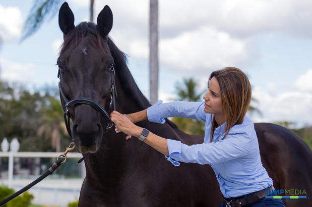 Images Palm Beach Equine Clinic