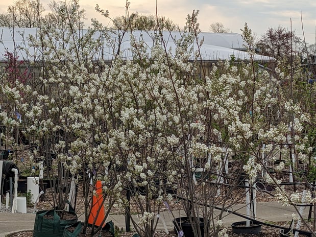 Images Grant Line Garden Center & Nursery