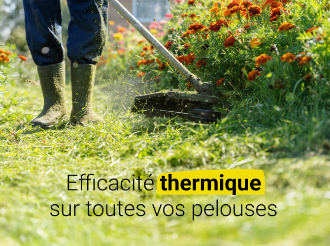 Adieu herbes hautes, bonjour terrain net !