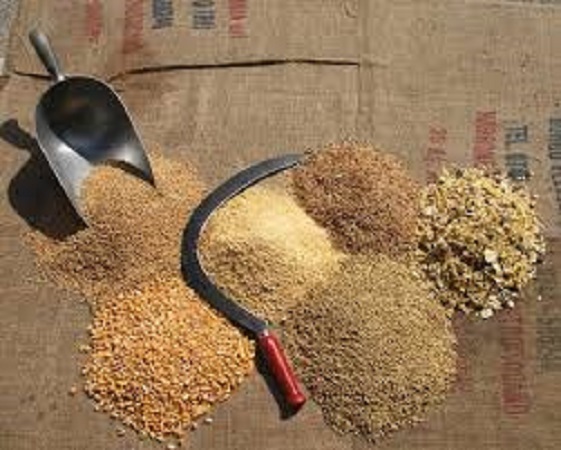 Images Agrimax