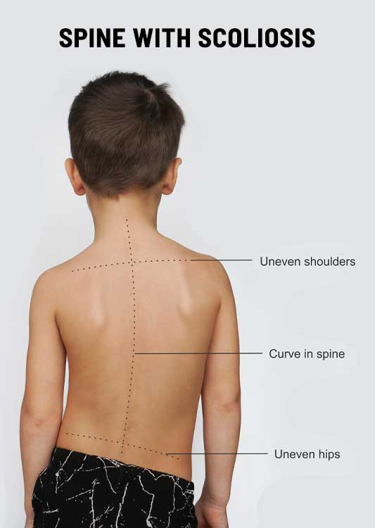 Images Greater Carolina Clinic of Chiropractic