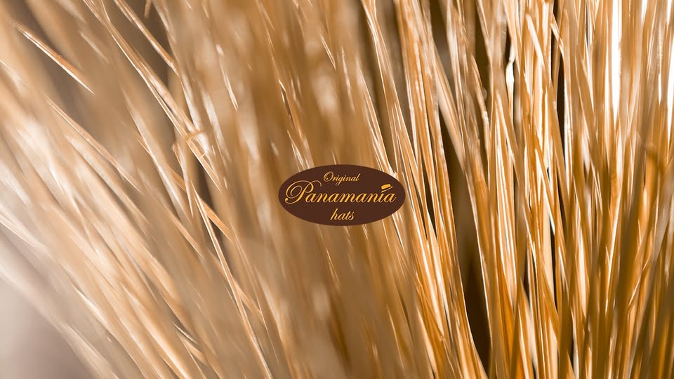 Images Panamania Hats
