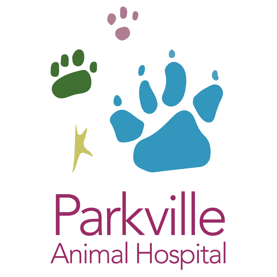 Veterinarian in Parkville, MD | Parkville Animal Hospital
