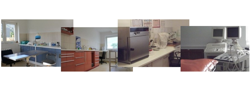 Tierarztpraxis Katrin Ringelmann, Wandrumer Weg 14 in Brüsewitz