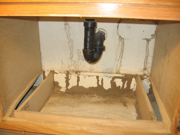 Images Harris Termite & Pest Control