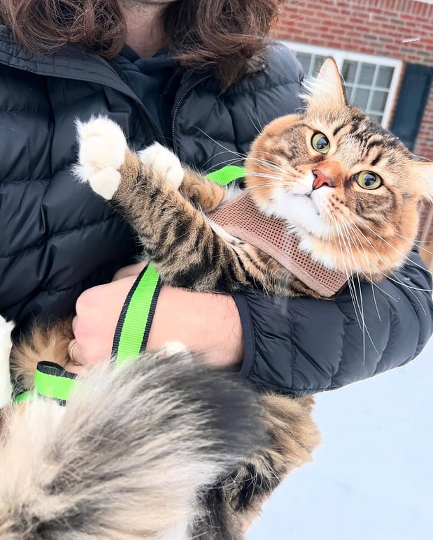 Images Matthew Maniscalco - State Farm Insurance Agent