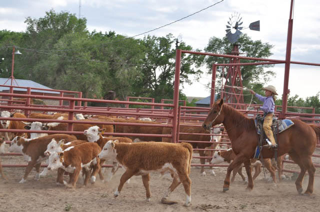 Images New Mexico Beef Council