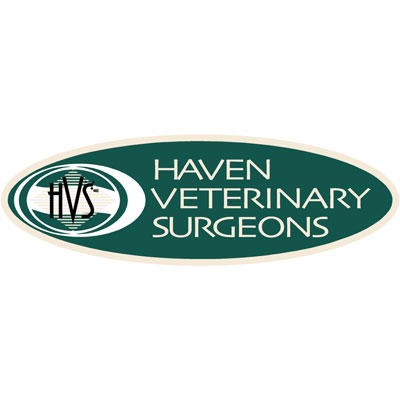 Haven Veterinary Surgeons - Great Yarmouth - Great Yarmouth, Norfolk NR31 0LE - 01493 416700 | ShowMeLocal.com