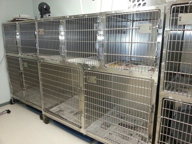 Images Atlantic Highlands Animal Hospital