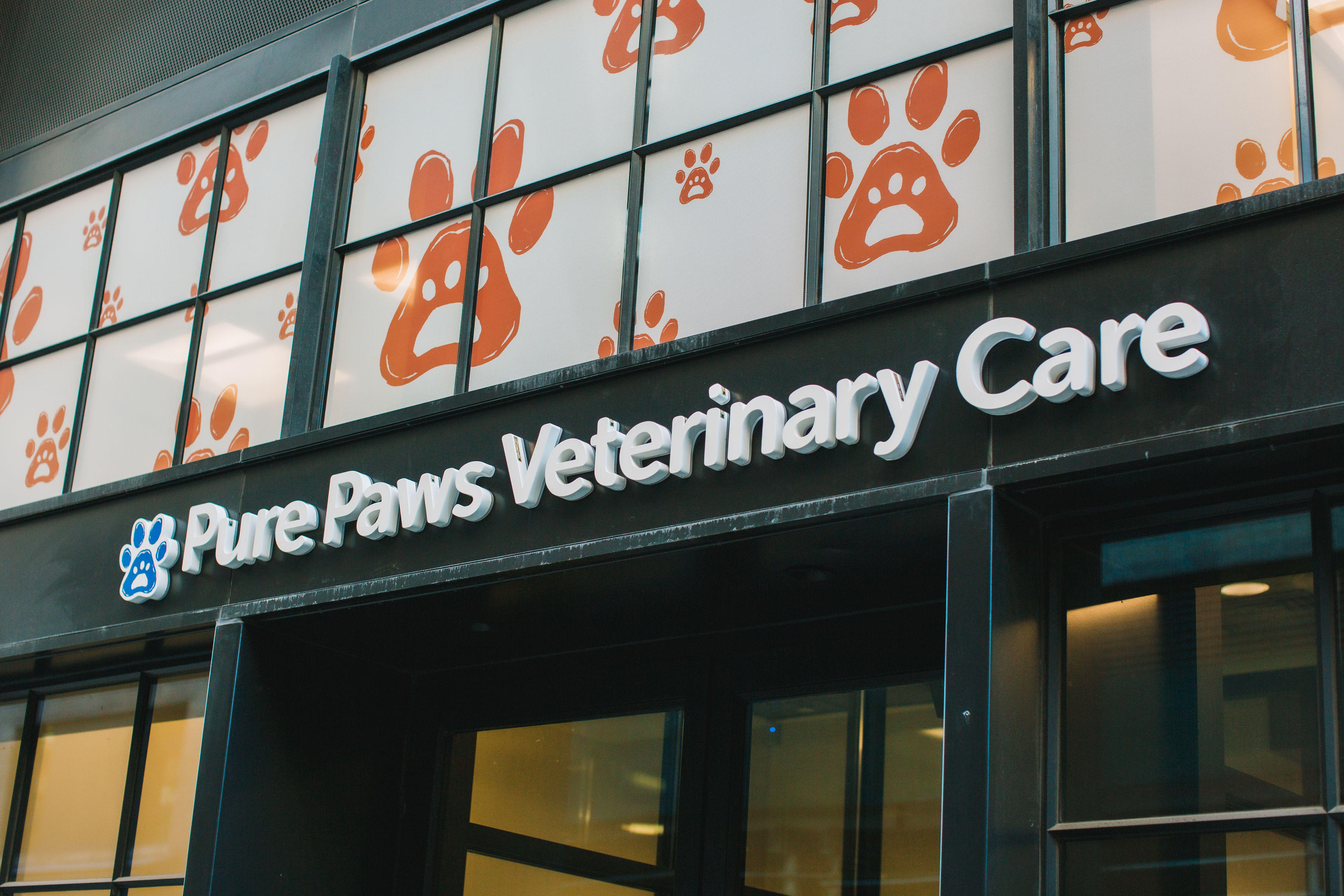 Welcome to Pure Paws Veterinary Care at Hudson Square. Our entrance is on King Street.