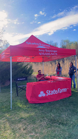 Images Amy Baysinger - State Farm Insurance Agent