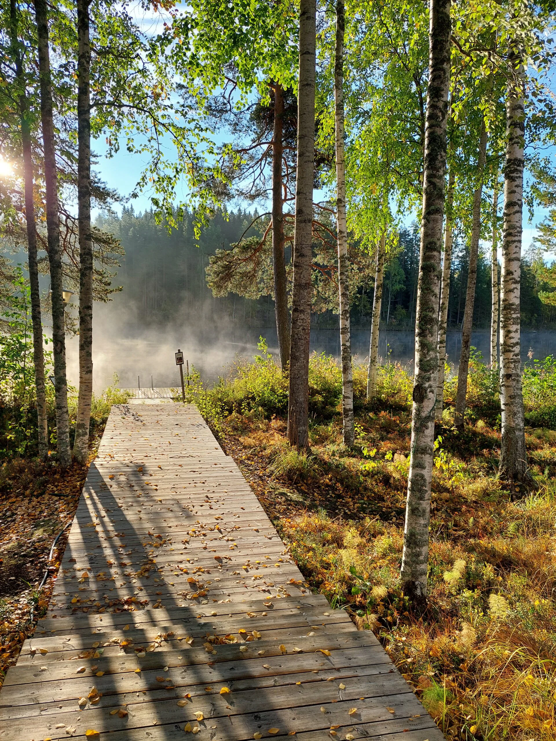 Images Leväniemen toimintakeskus