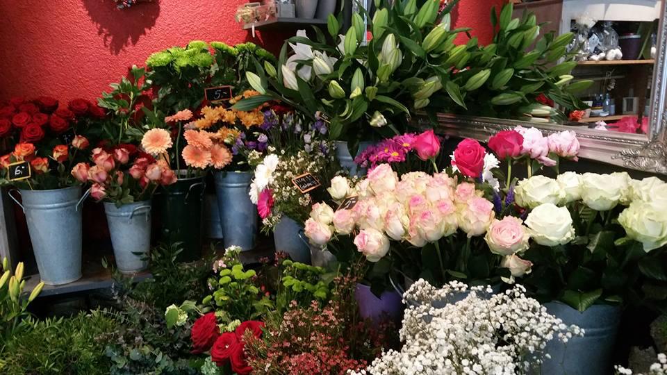 Bilder Au Flamboyant