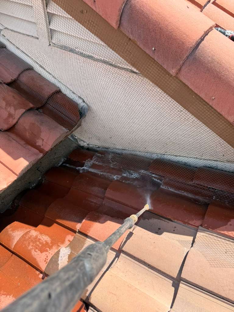 SunWorx Solar Services performing bird remediation and rooftop cleanup around a residential solar installation in Buckeye, Arizona.