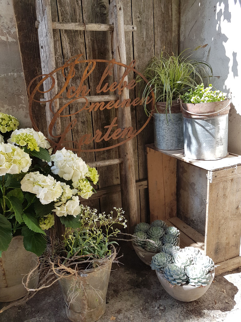 Bild 1 von Blumengeschäft Elfenschuh