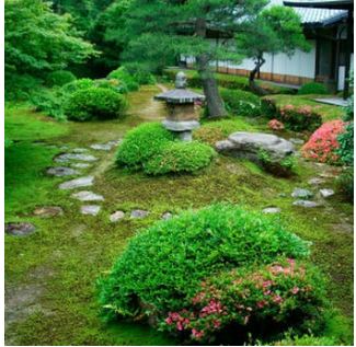 Images Kozuki Landscaping