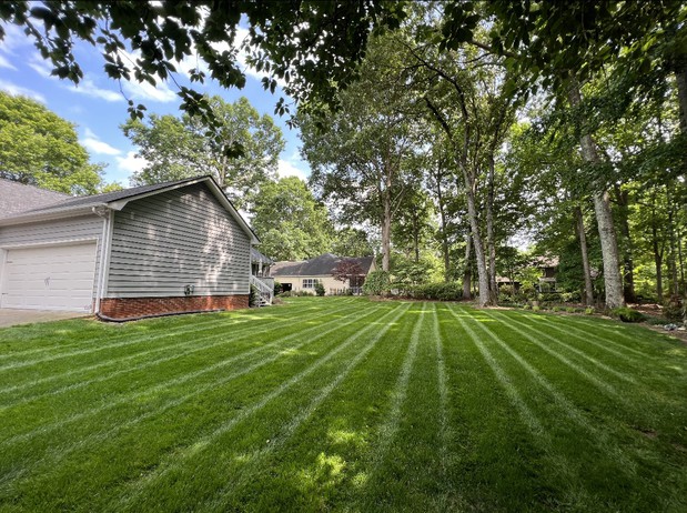 Images Southern Style Turf & Design