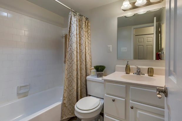 Images The Apartments at The Sycamores