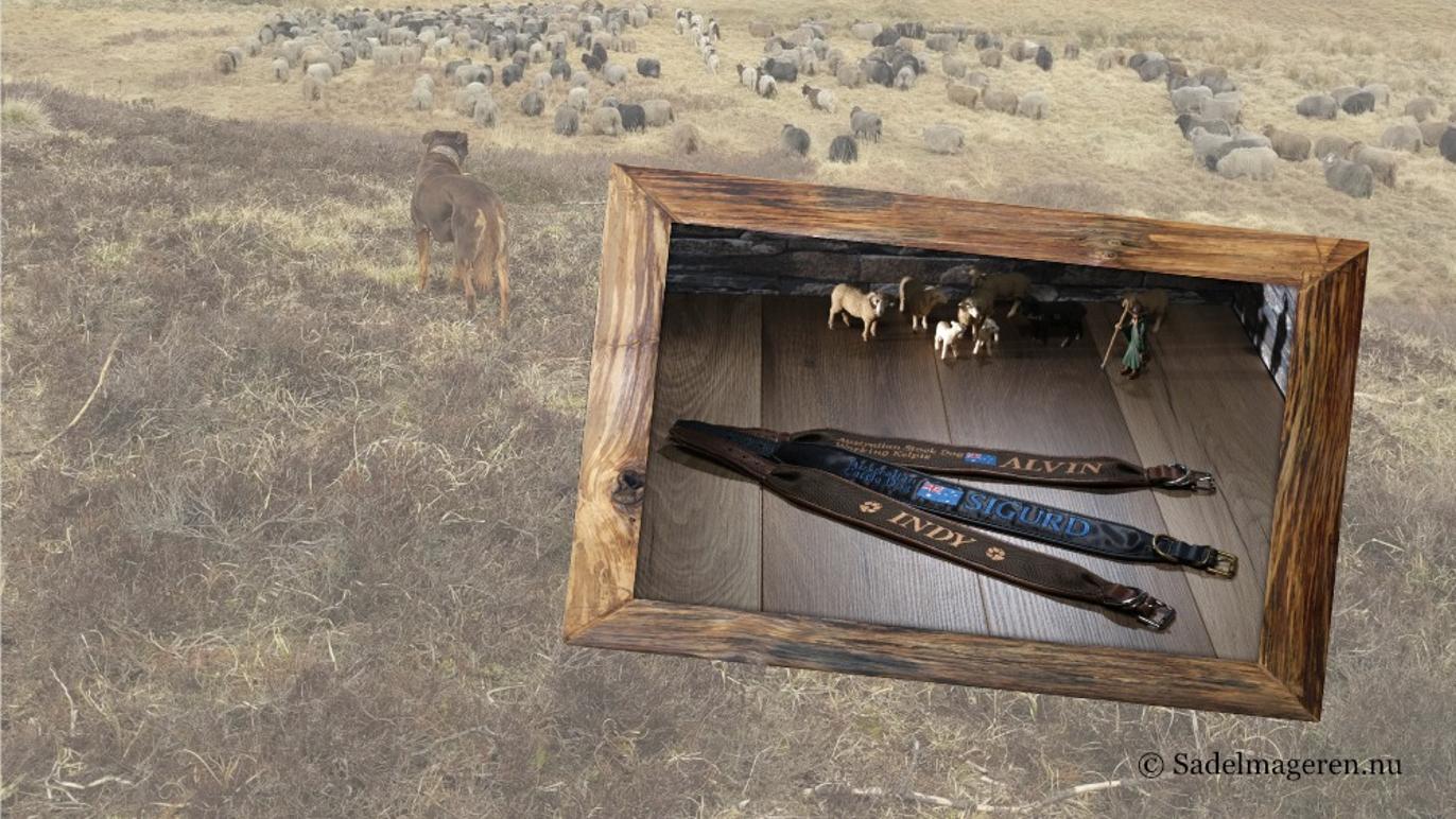 Images Sadelmageren.nu v. Eya Andersen