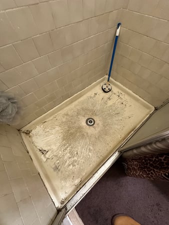 Images 24H Mold Inspection of Los Angeles
