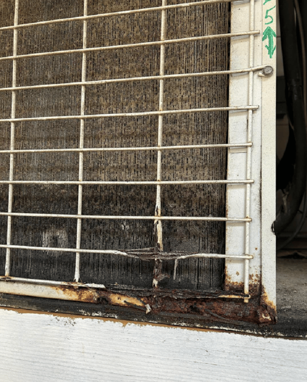 Images TemperaturePro