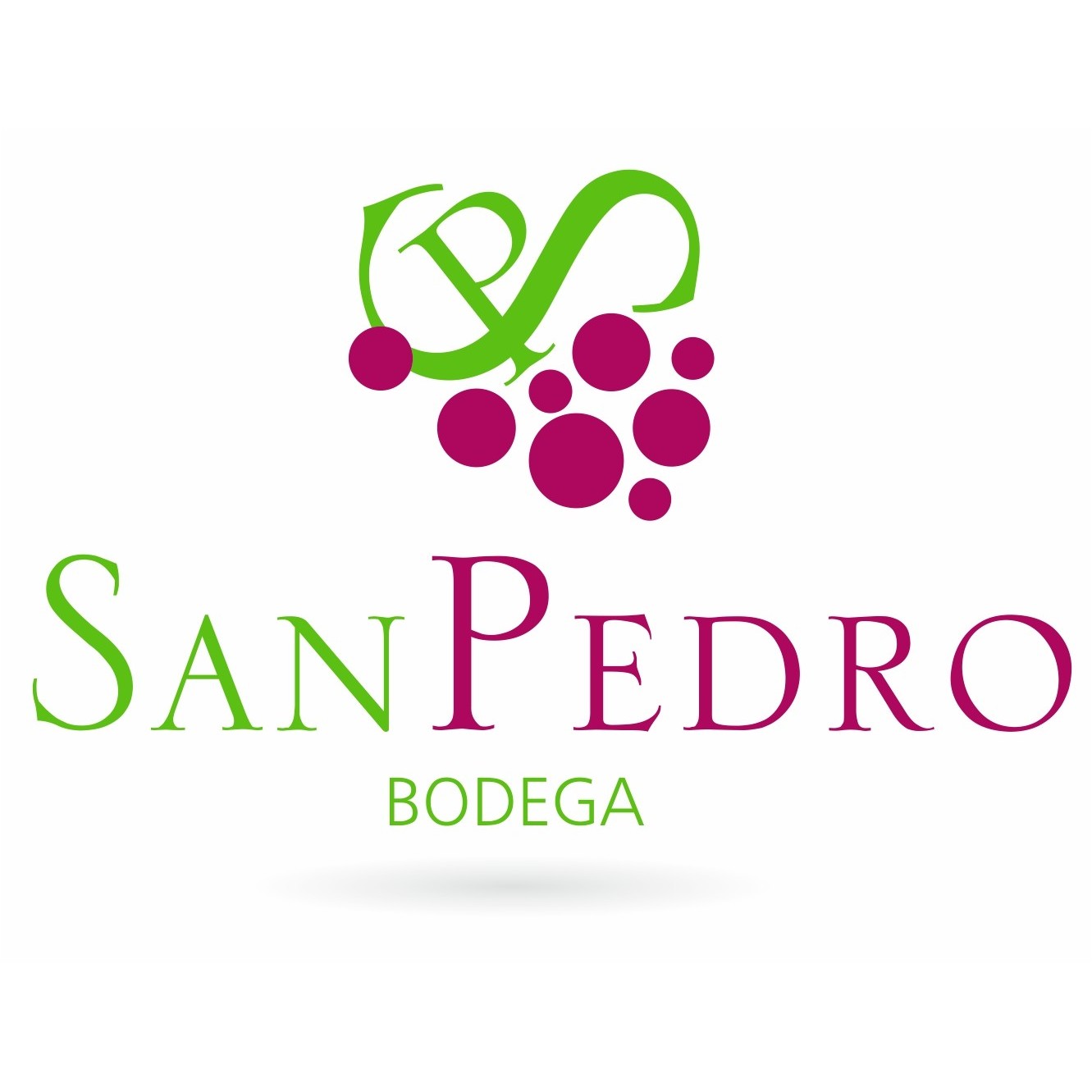 Bodega San Pedro Apóstol, S. Coop. Logo