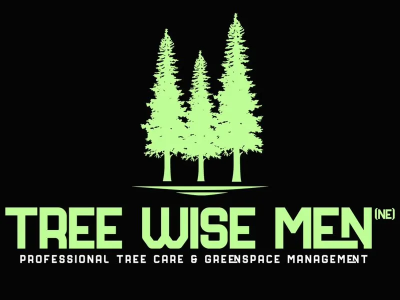 Images Tree Wise Men (NE) Ltd
